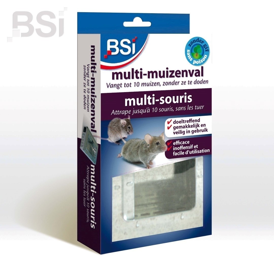 Bsi Multi-muizenval - 