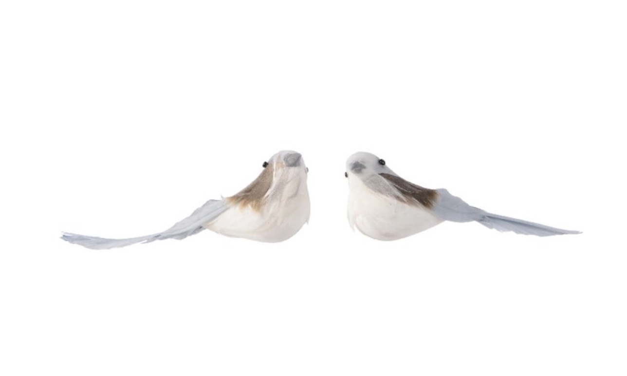 Ksd Orn.foam vogel l8b11h5cm a3 2st - 