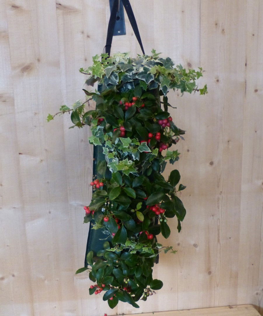 Warentuin natuurlijk Hangzak vaste planten najaar - 