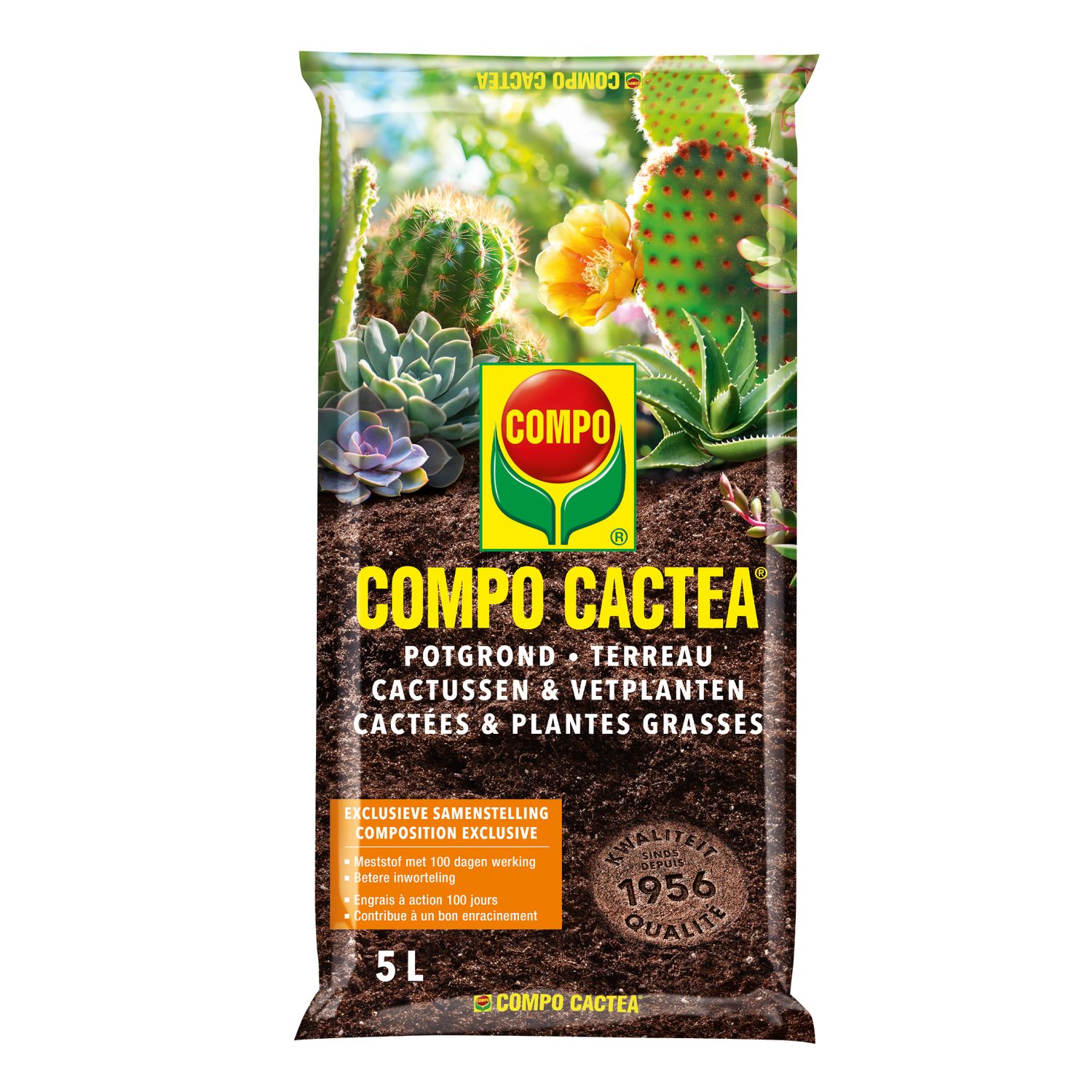 Compo Sana Potgrond Cactussen & Vetplanten 5l