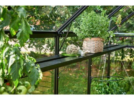 Juliana kweekschap Oase geïntegreerd - zwart - aluminium frame