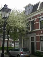 Apartment Kanne - Nederland - Utrecht - Utrecht