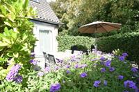 Vakantie accommodatie Bergen Bergen/Egmond/Schoorl,Nordholland,Niederländische Küste 2 personen - Niederlande - Bergen/Egmond/Schoorl,Nordholland,Niederländische Küste - Bergen