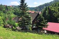 Vakantie accommodatie Elbingerode (Harz) Harz,Sachsen-Anhalt 11 personen - Deutschland - Harz,Sachsen-Anhalt - Elbingerode (Harz)