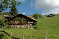 Vakantie accommodatie Habkern Berner Oberland 5 personen - Schweiz - Berner Oberland - Habkern