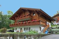Vakantie accommodatie Hasliberg Berner Oberland 3 personen - Schweiz - Berner Oberland - Hasliberg