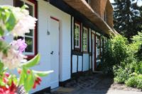 Vakantie accommodatie Manhagen Ostsee,Schleswig-Holstein 4 personen - Deutschland - Ostsee,Schleswig-Holstein - Manhagen