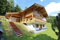 Vakantie accommodatie Saalbach Salzburger Land 14 personen - Österreich - Salzburger Land - Saalbach