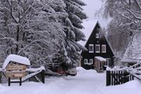 Waldferienhaus - Duitsland - Harz - Braunlage- 12 persoons