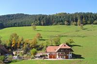 Am Stulzenhof - Duitsland - Zwarte woud - Hofstetten- 4 persoons