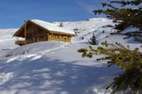 Les Chalets de l'Altiport 3 - Frankrijk - Noord Alpen - Alpe D'huez- 16 persoons