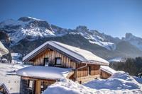 Dachstein Chalet XL Haustier erlaubt - Oostenrijk - Salzburgerland - Annaberg-Lungötz- 10 persoons