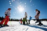 Chalet Eco 70 Deluxe - Oostenrijk - Steiermark - Sankt Georgen ob Murau - Sankt Lorenzen ob Murau- 6 persoons