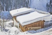 Künstler Chalet - Oostenrijk - Salzburgerland - Saalbach-Hinterglemm- 10 persoons