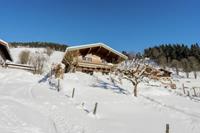 Evi - Oostenrijk - Salzburgerland - Saalbach - Hinterglemm- 8 persoons