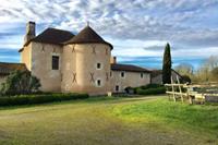 Manoir avec piscine privée - Frankrijk - Poitou-Charentes - Lencloître- 10 persoons