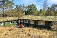 4 persoons vakantie huis in Læsø