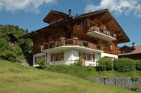 Luxe chalet met privétuin in Habkern, Zwitserland