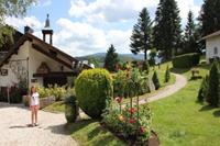 Les Chalets des Ayes 12 - Frankrijk - Région Lorraine - Le Thillot- 4 persoons