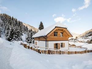 Chalet Riesneralm Chalets Bergzauber - 8-12 personen - Oostenrijk - Riesneralm - Donnersbachwald