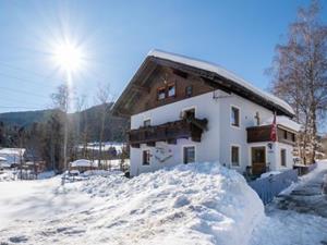 Appartement Zonnen-Alp - 4-5 personen - Oostenrijk - Ski Amadé - Schladming-Dachstein - Forstau