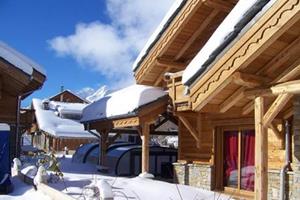 Chalet Le Loup Lodge - Frankrijk - Noord Alpen - Les Deux Alpes- 14 persoons