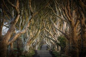 8-Daagse autorondreis Game Of Thrones Noord Ierland
