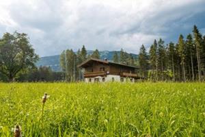 Chalet Freiblick Kleinhaid, Hollersbach-Ferienhaus - Oostenrijk - Salzburgerland - Hollersbach- 12 persoons