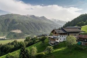 Käferhof Bramberg am Wildkogel - Oostenrijk - Salzburgerland - Bramberg am Wildkogel- 6 persoons