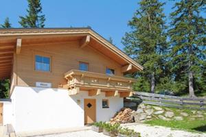 Chalet Max Hochkrimml - Oostenrijk - Salzburgerland - Hochkrimml- 8 persoons