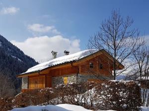 Chalet Alideale met privé-sauna - 10-12 personen - Frankrijk - Paradiski - La Plagne - Champagny en Vanoise