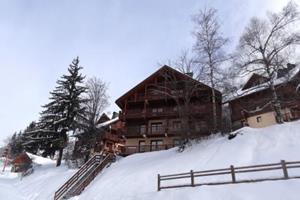 Chalet des Neiges 4 - Frankrijk - Noord Alpen - Oz-en-Oisans- 10 persoons