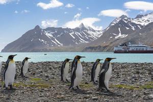 2024/25 23-Daagse Hurtigruten Ultieme expeditie naar Antarctica, Falkland eilanden en South Georgia