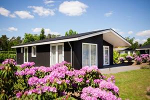 Vakantiepark Molenvelden 1 - Nederland - Noord-Brabant - Veldhoven- 6 persoons