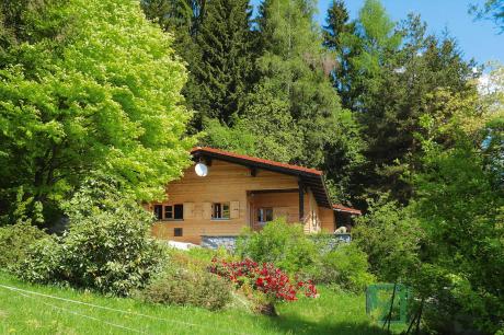 Ferienhaus Schneider Rinchnach 70 qm - Duitsland - Beieren - Rinchnach- 4 persoons