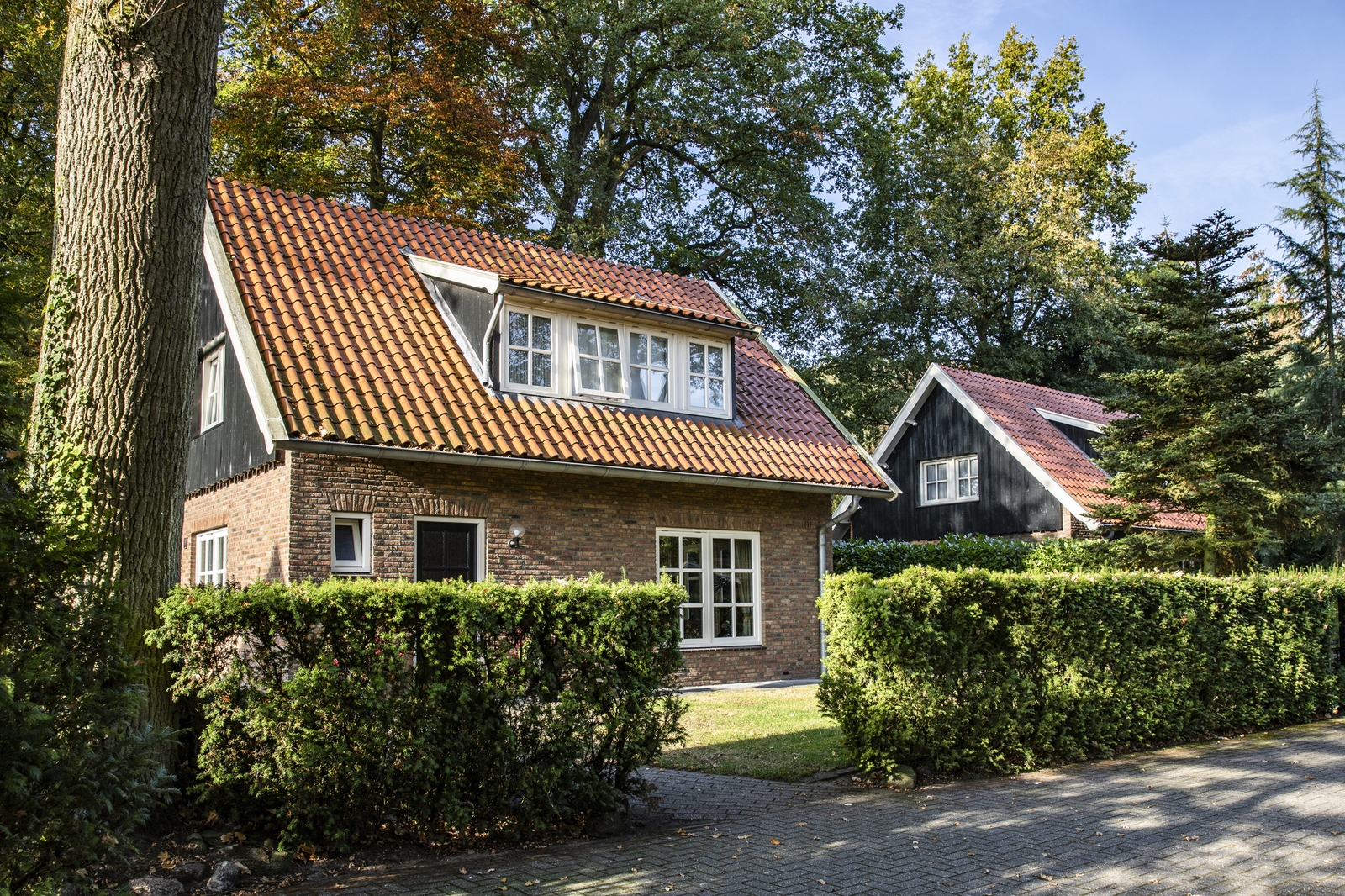 Landgoed Losser - vakantiehuis de Regenboog in Twente - Nederland - Overijssel - Losser