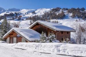 Chalet Sporting Lodge - Frankrijk - Noord Alpen - La Plagne- 14 persoons