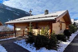 Chalet Steinbock - Oostenrijk - Salzburgerland - Wald - Köningsleiten- 8 persoons