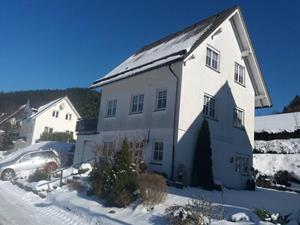 Prachtig 10 persoons vakantiehuis nabij Winterberg - Duitsland - Europa - Silbach
