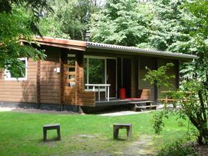 Zes persoons Finse bungalow aan de rand van het bos - Nederland - Europa - Meppen