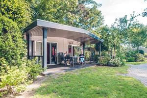 Mooi 4 persoons chalet met veranda nabij Voorthuizen op de Veluwe - Nederland - Europa - Voorthuizen