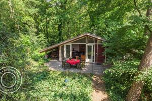 Uniek gelegen 4 persoons boshuisje aan de rand van de Veluwe - Nederland - Europa - Loenen
