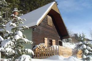 Guidos Panoramahütte - Oostenrijk - Steiermark - Vordernberg- 4 persoons