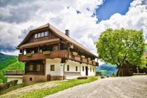 Grafhube Appartements - 2-Raum - Oostenrijk - Karinthië - Afritz-Verditz- 4 persoons