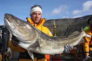 9 Dagen zeevissen in de Westfjorden