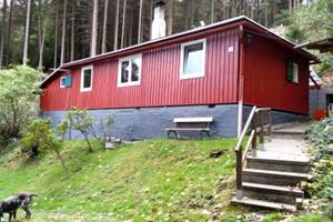 Schöne Hütte im Waldstück in Königsee-Querbachhütt - Duitsland - Thüringen - Oberhain - Königsee- 6 persoons