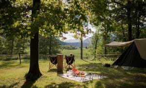 Forest camping Mozirje - Slovenië - Zuid-oost Slovenië - Mozirje