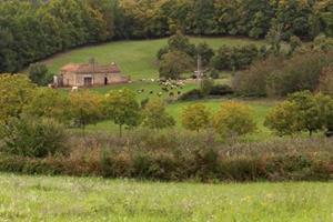 Le petit Nichoir - Frankrijk - Dordogne - Loubejac- 6 persoons