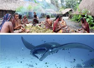 Rondreis 16 dagen Avontuurlijk Papua - Baliem vallei en duiken bij Raja Ampat - Indonesië - Papua