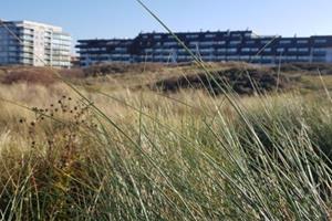 PLAZA A2/0022 - België - West-Vlaanderen - Oostduinkerke- 4 persoons